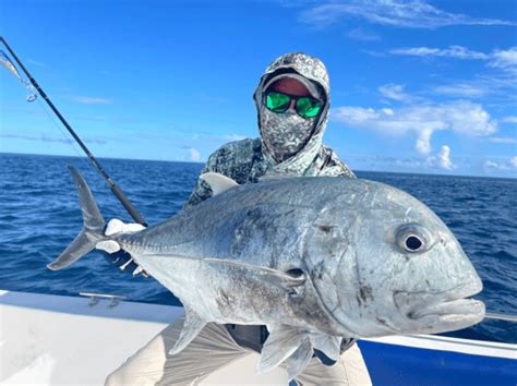 7 Types Of Trevally: Everything You Need To Know .
